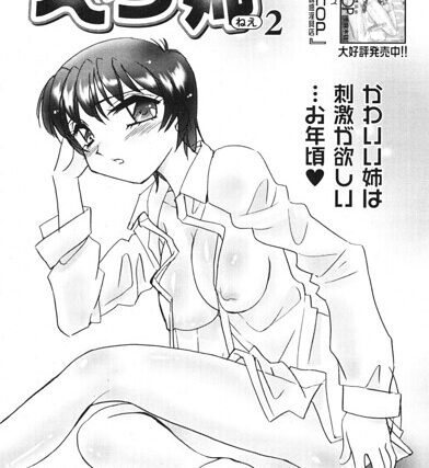 えろ姉（単話）【単話】 サンプル画像