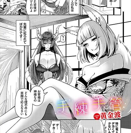 手練手管（単話）【ファンタジー】 サンプル画像