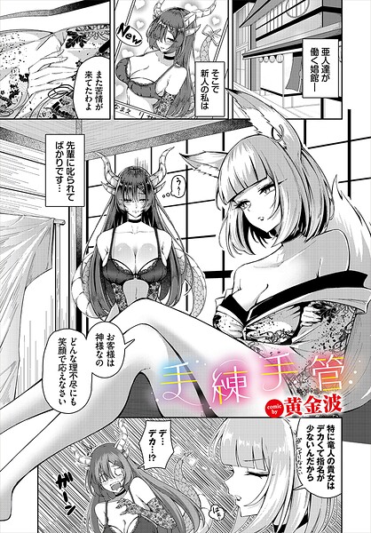 手練手管（単話）【ファンタジー】 サンプル画像