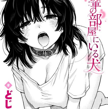 先輩の部屋にいる犬（単話）【単話】 サンプル画像
